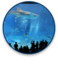 動物園・水族館